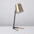 Irelyn Metal Desk Lamp