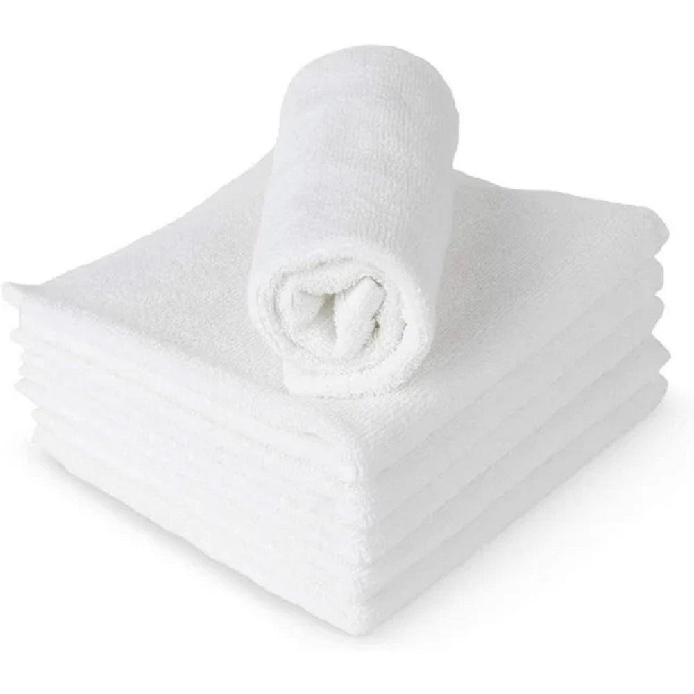 Franchina 20 - Piece Cotton Washcloth Guest Room Case Pack (Set of 20) Ebern Designs