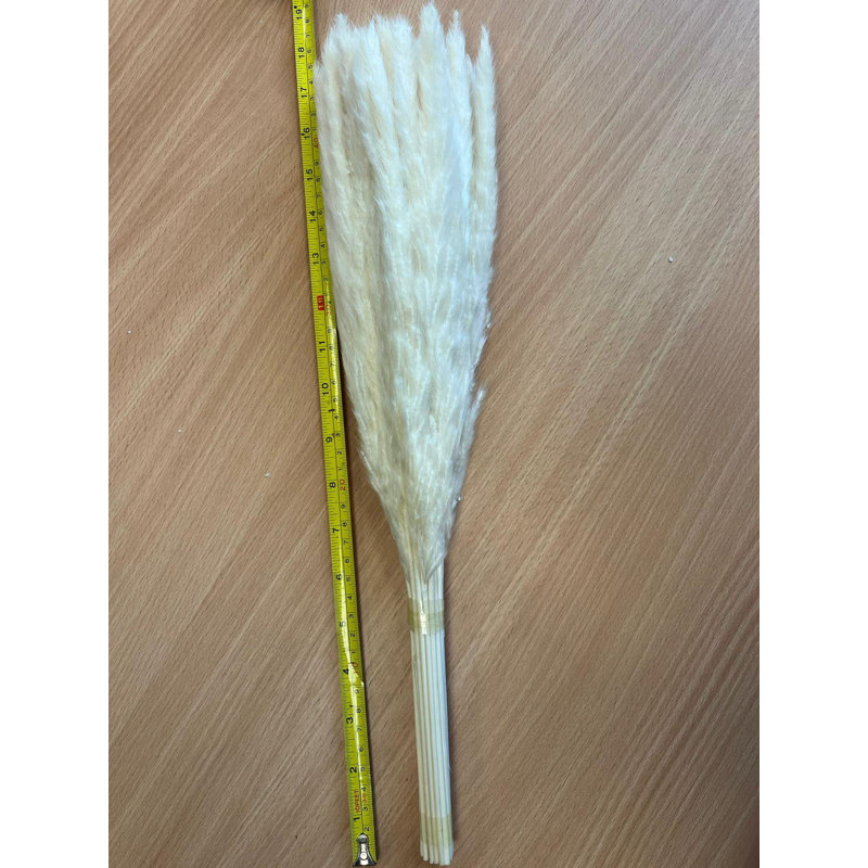Pampas Grass Arrangement, Brown, 45cm H x 5cm W x 5cm D