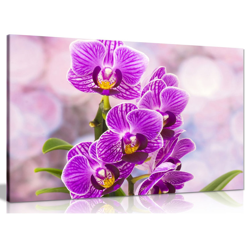 Orchid Flowers - Wrapped Canvas Print, 51cm H x 76cm W