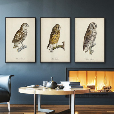 " French Owls I " 3 - Pieces