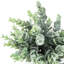 22.60 cm Artificial Eucalyptus Plant In Pot