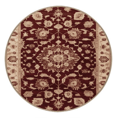 Machine Washable Overdyed Brown Area Rug