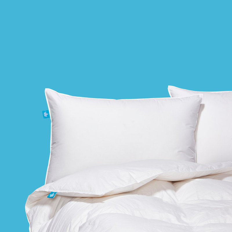 White Goose Down Pillow, Standard, Medium