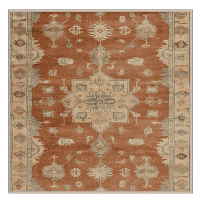 Machine Washable Overdyed Brown Area Rug