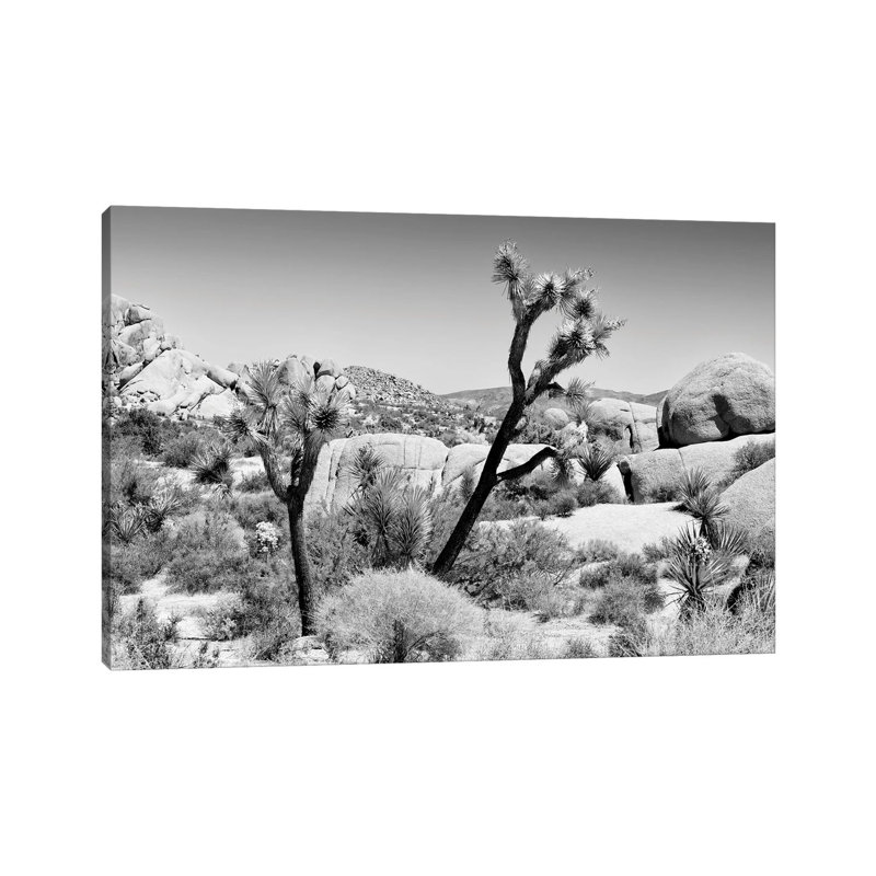 Joshua Tree National Park II by Philippe Hugonnard - Wrapped Canvas Print, 20.32 cm H x 30.48 cm W