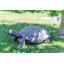 Animals Weather Resistant Water Resistant UV Resistant Polyresin Garden Statue