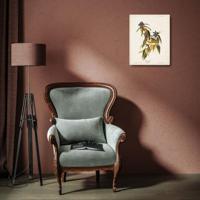 «Red Barrel Studio® Audubon, John James Gallery», reproduction d'art sur toile, Pl 138 Connecticut Warbler