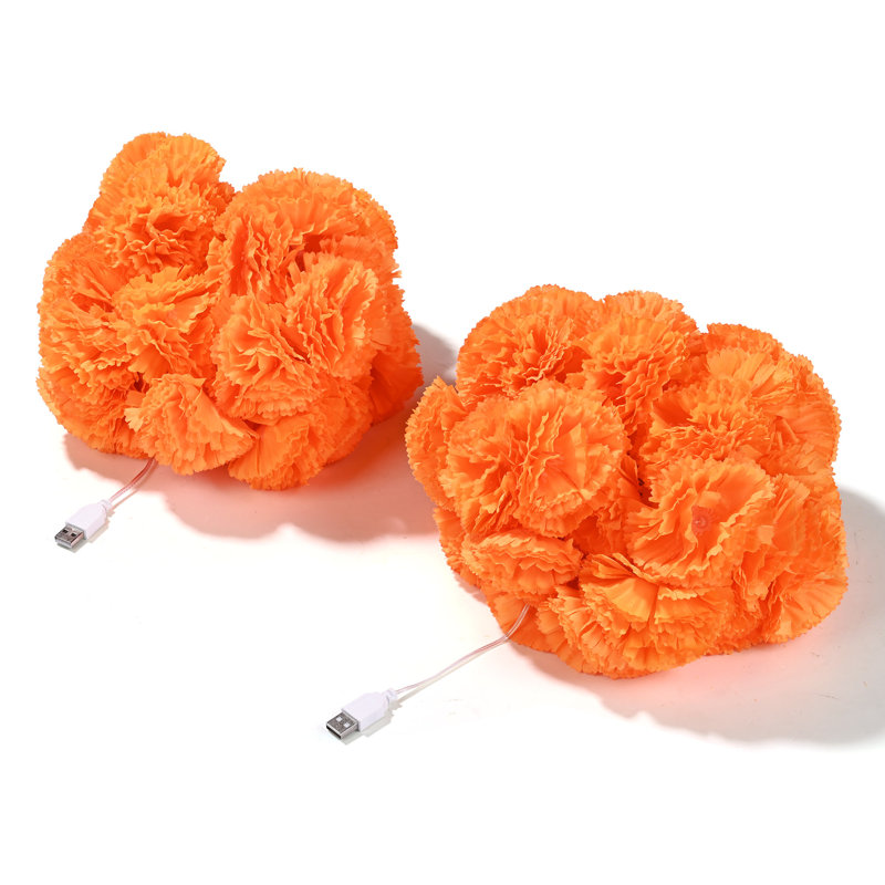  Ensemble de 2 décorations d'Halloween artificielles USB 20 guirlandes 40 pi à DEL 40 pi
