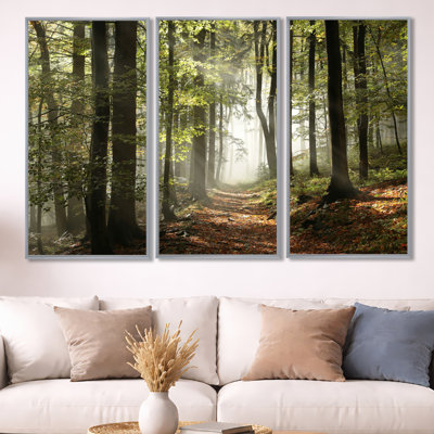 " Green Fall Forest With Sun Rays " 3 - Pieces