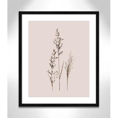 Delicate Stems I by Carol Robinson - Single Picture Frame Print -  Birch Lane™, 1A10EF6770A54631A1ED7376B22B81F7