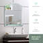 Selph Arch Vanity Mirror with Shelves-1727625203