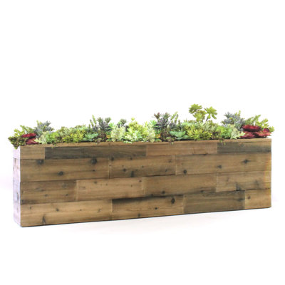 Faux Succulent Plant in Wood Planter