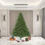 Oregon Christmas Tree-715030354