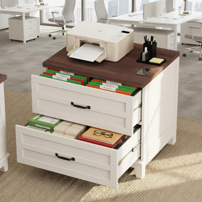 80cm Wide 2 -Drawer File Cabinet