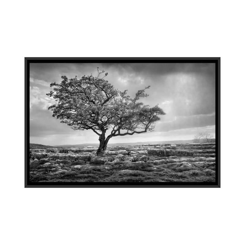 « élégance », reproduction de photo sur toile, H 18 po x l 26 po x P 1,5 po, Toile avec cadre noir, Pas de tapis