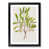 Black Framed selected