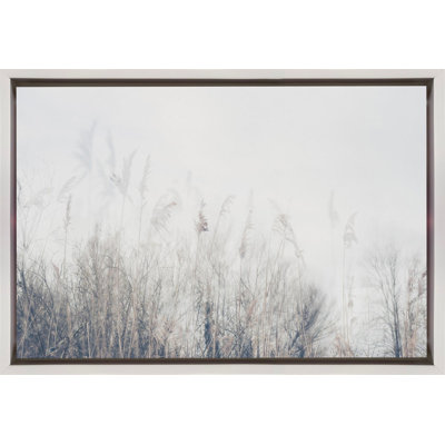 Paysage de roseaux et d'herbes