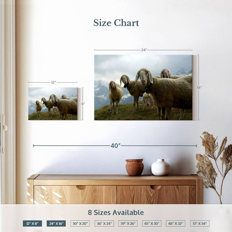 Brampt Piedmont Mountain Sheep, 16" H x 24" W