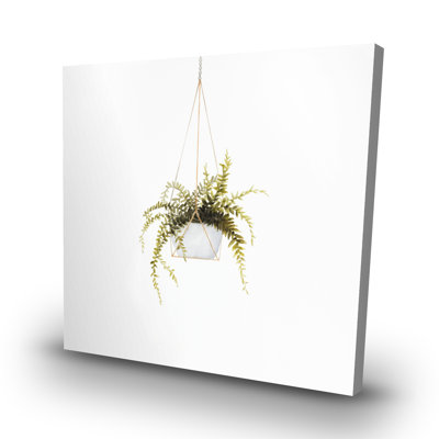 Suspended fern - 32"x32" art on canvas