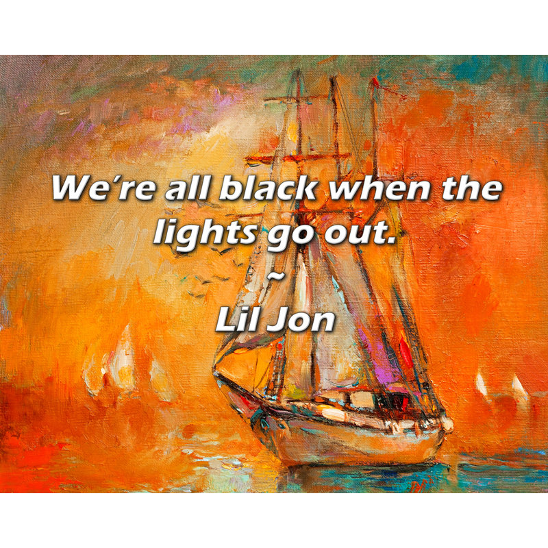 Lil Jon Quote: Nous sommes tous noirs lorsque les lumières s'éteignent.