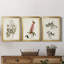 Pl. 63 mouchoirs aux yeux blancs - ensemble de 3 impressions sur toile encadrées-1466172693-1466172713