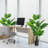 60'' Faux Monstera Deliciosa Tree in Cement Pot