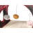 Cat Toys-50927781