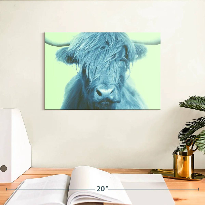 Brampt Highland Cow sur fond vert, H 8 po x l 12 po