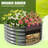 2-pack Gray Metal Round Raised Garden Bed Planter Box For Planting Vegetables Flowers (48 In. L X 48 In. W X 18 In. H)-831560433