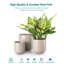 HDHPOT Ceramic Pot Planter-1607730067