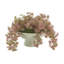 Organic Modern Weeping Laurel