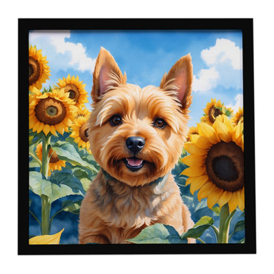 Norwich Terrier in Sunflowers Framed Metal Print