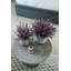 Esme Purple Wheatgrass