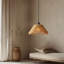Luminaire suspendu 1 lumière en corde de chanvre-1601309167