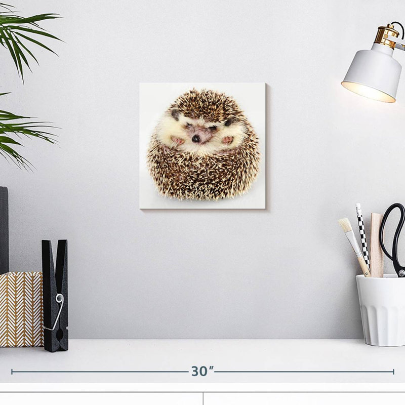Crowle Curled Up Hedgehog, 10" H x 10" W