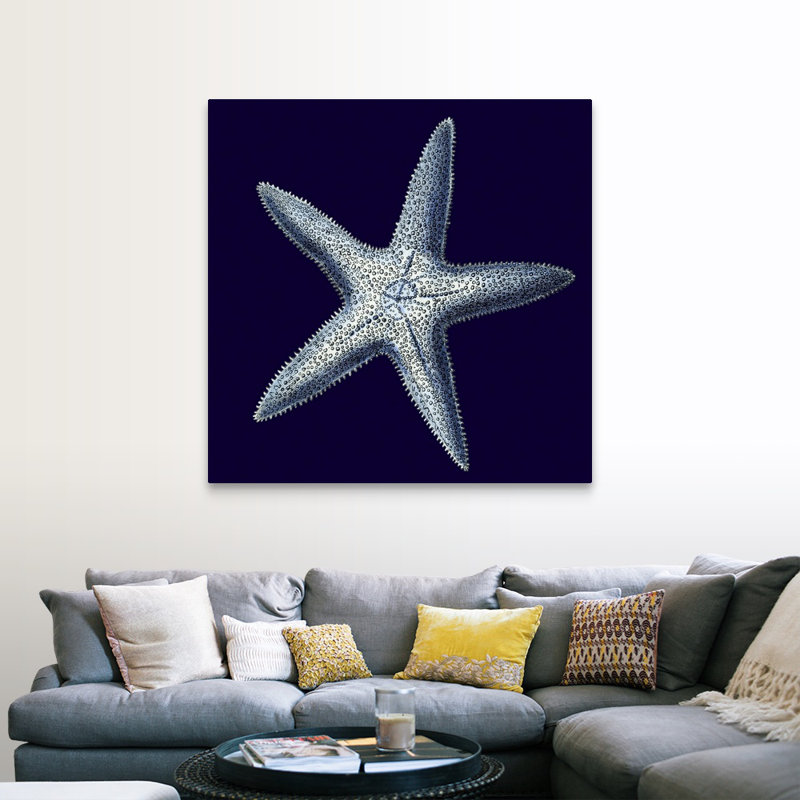 « Indigo shells IV » par vision studio-impression, Toile tendue, H 12 po x l 12 po x 1,25 po