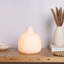 Svan Ceramic Table Lamp