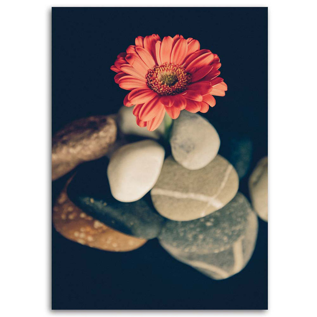 Leinwandbild Still life zen