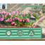Spacieux lit de jardin surélevé galvanisé pour le jardinage extérieur, idéal pour cultiver une variété de plantes.
