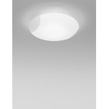 Lio Flush Mounted Sconce