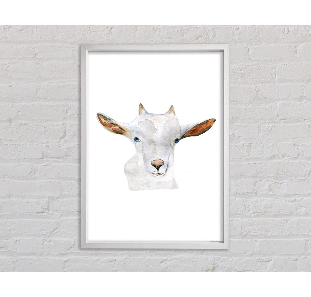 Baby Goat Face - Einzelner Bilderrahmen Kunstdrucke auf Leinwand