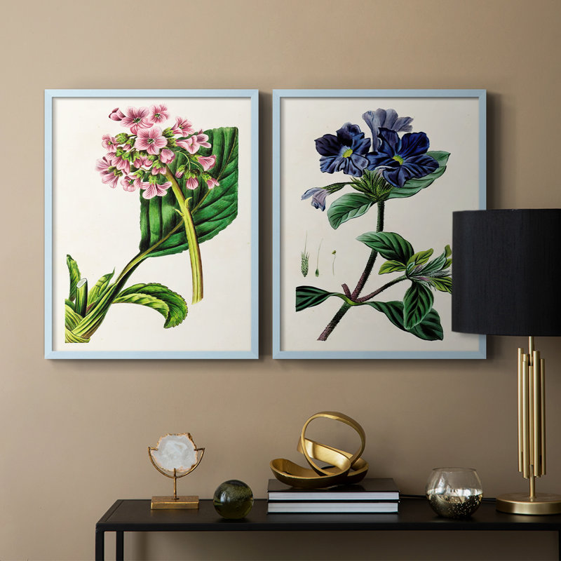 AntiqueFloralFolio III - reproduction encadrée de qualité supérieure - prête à être accrochée - aucun clou requis - aucun clou requis