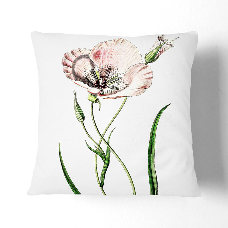 Pink Mariposa Lily Flowers Cushion with Filling, Black, 40cm H x 40cm W x 15cm D
