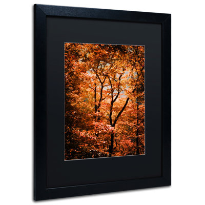 " Autumn Whispers " by Philippe Sainte-Laudy