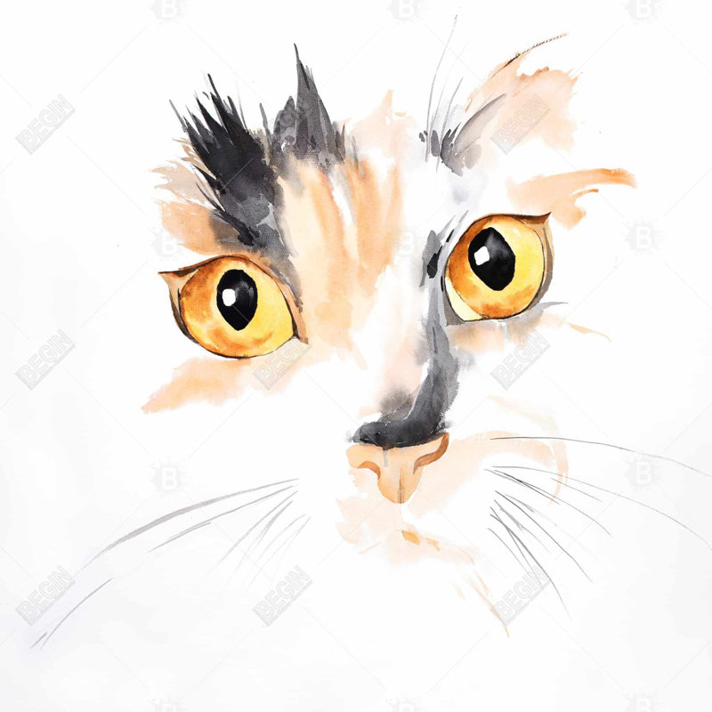 Watercolor cat face closeup - 16"x16" Outdoors Throw pillow - Spun poly - Print on demand