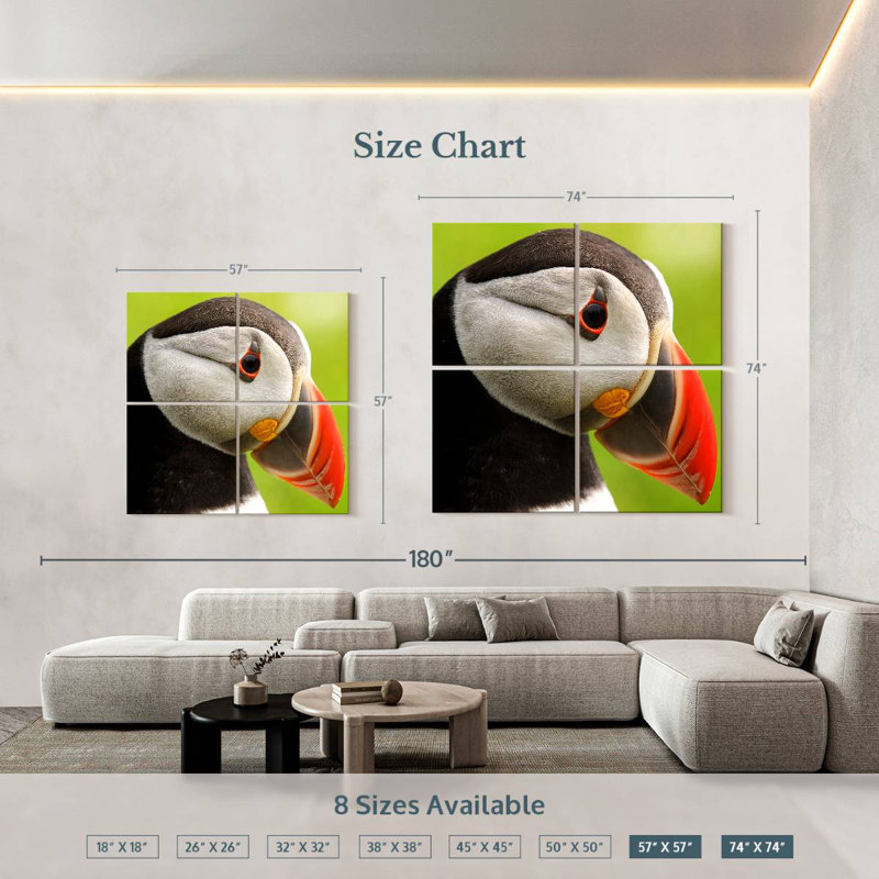 Brampt Wild Puffin, 57'' H x 57'' W