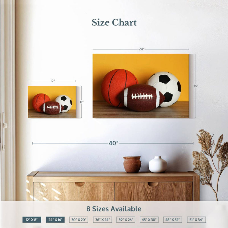 Team sports balls Sireci, H 16 po x l 24 po