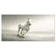 Magnifique cheval blanc qui court - impression sur toile tendue-413930969
