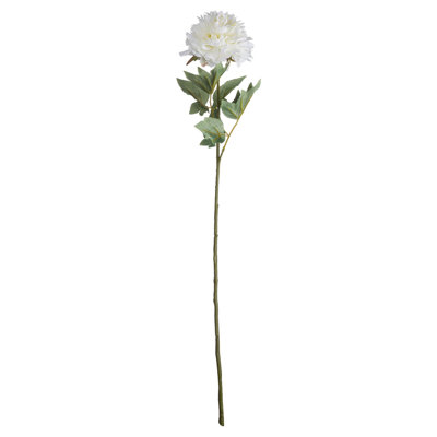 Arrangement